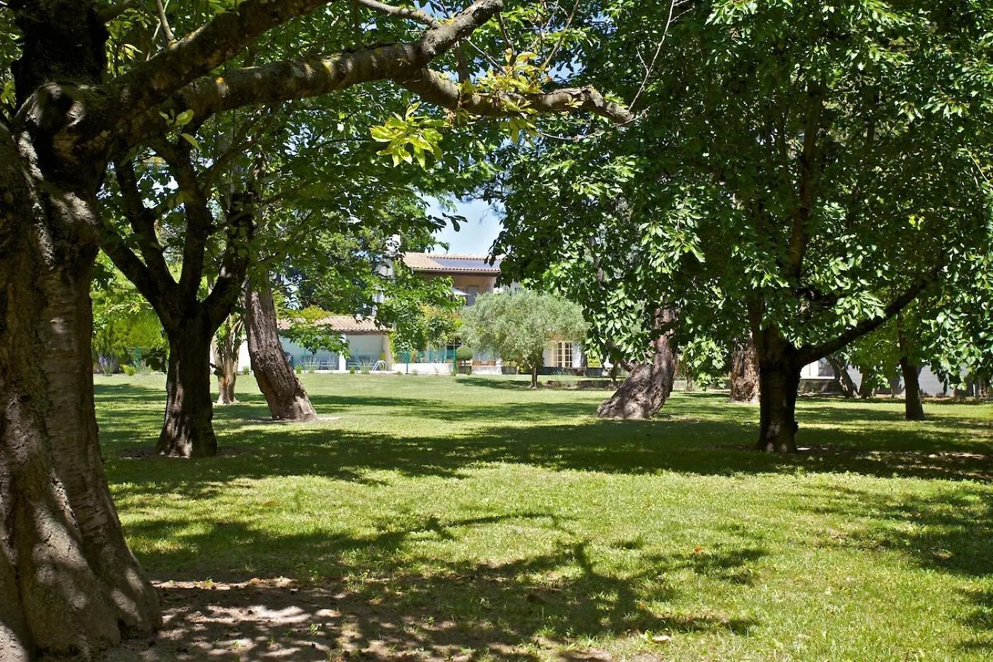 Apartment The Willow Tree Le Thor France